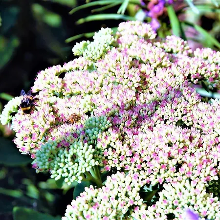 Thueringer Waldidyll Appartamento Brotterode