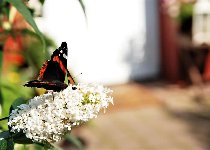 Thueringer Waldidyll アパート *