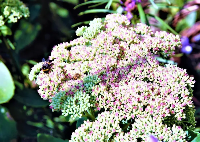 Thueringer Waldidyll アパート ブロターオーデ